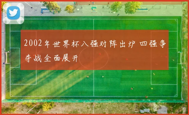 2002年世界杯八强对阵出炉 四强争夺战全面展开